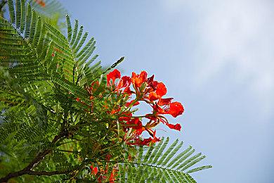 Fami通新一周销量榜 《宇宙机器人》第二